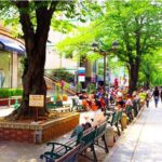 自由が丘サロンへの道案内