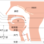 SNSピックアップ(~4/19)