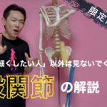 【限定動画】太ももが太くなる原因は“股関節”【解説&ストレッチ】