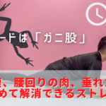 【限定動画】コツは「ガニ股」!下っ腹、腰回りの肉、垂れたお尻をまとめて撃退するストレッチ【9分】